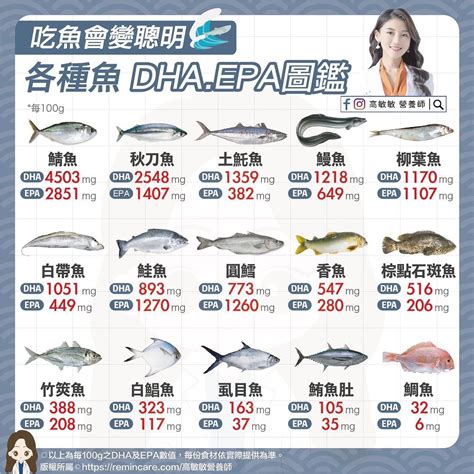 魚 排名|10種魚類DHA、EPA排行榜曝光！「這種魚」含量最。